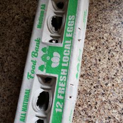   pulp egg carton