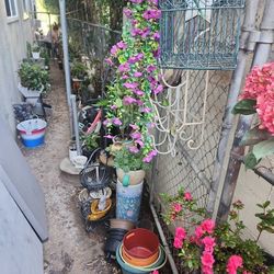 Plant Sale All Weekend Open Now !!!!!