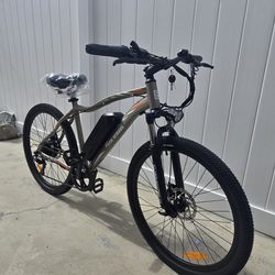 Electric Bike