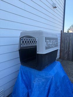 Free doghouse