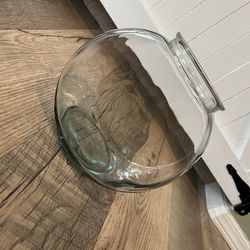 Fish Bowl