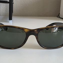 Ray-Ban New Wayfarer 