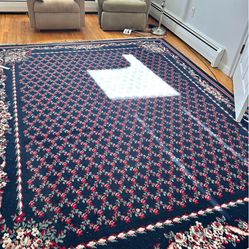 Beautiful rug 8 x 10  quality no smoking no pets price to sell quickly