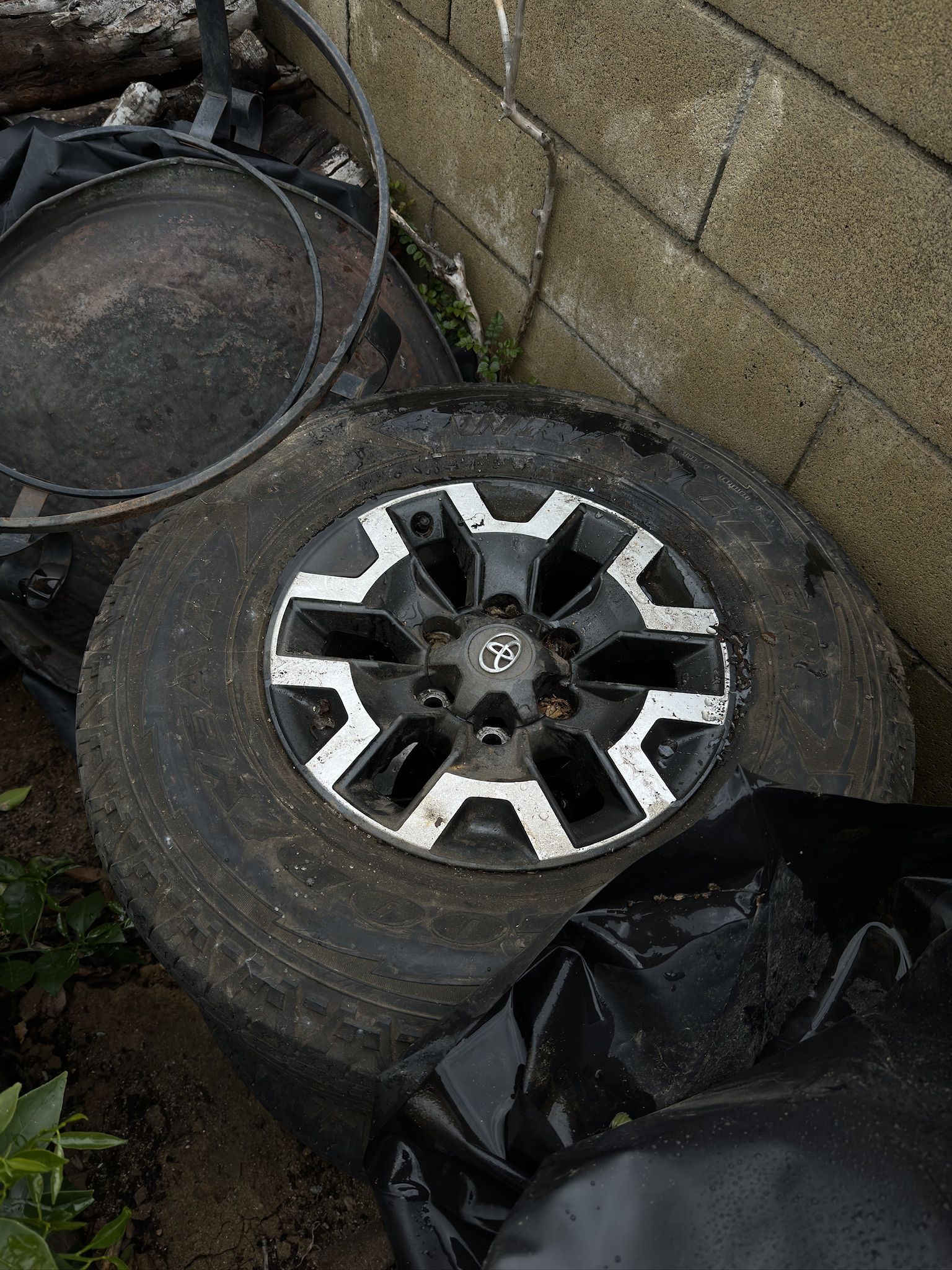 Tacoma Rims