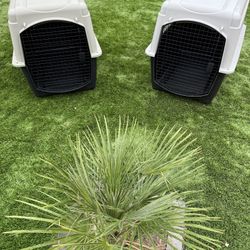 Large Breed Dog Kennel, $70