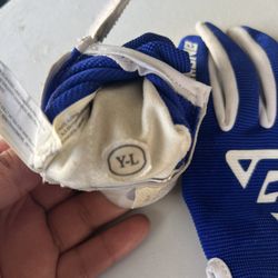 Youth Baseball Gloves YL