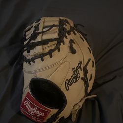 Rawling gold Glove Series Baseball Glove 