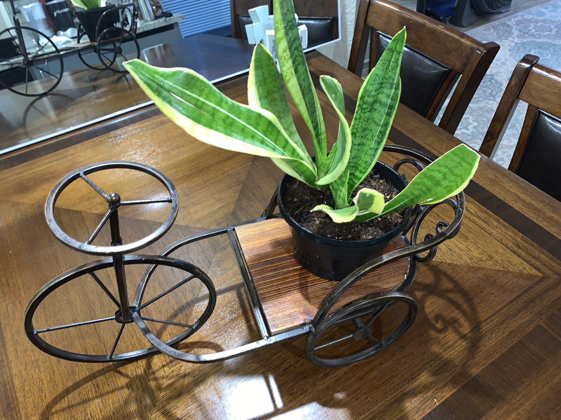 Adorable Bicycle Plant Holder