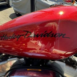 Harley Davidson 883 low
