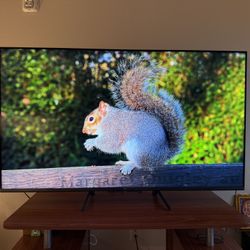 TCL 65 Inch 6-Series 4K QLED Dolby Vision Smart HDR TV - Google TV