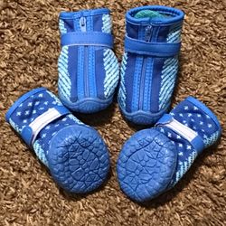 Blue Dog Shoes Size 5