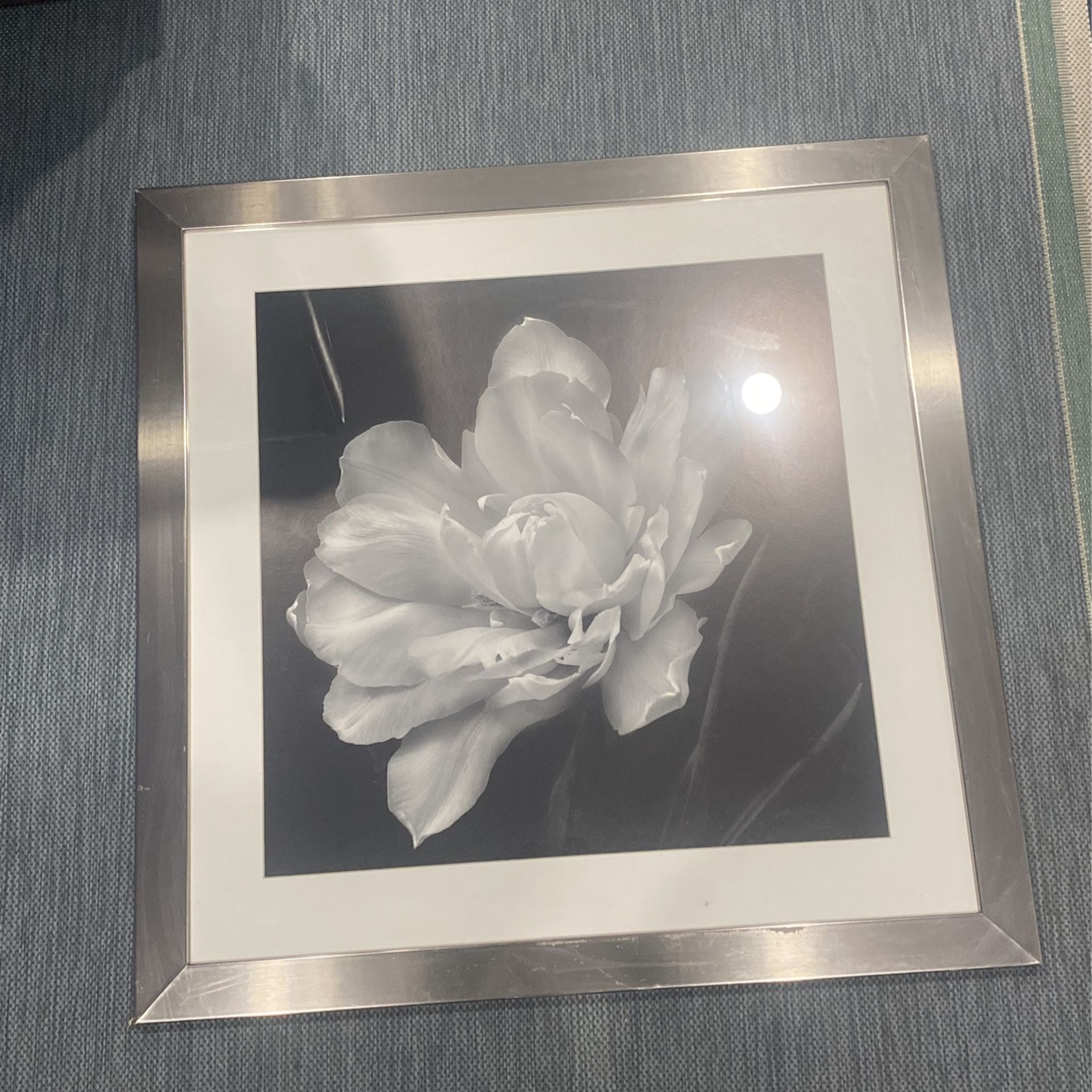 Z Gallery Picture Frame