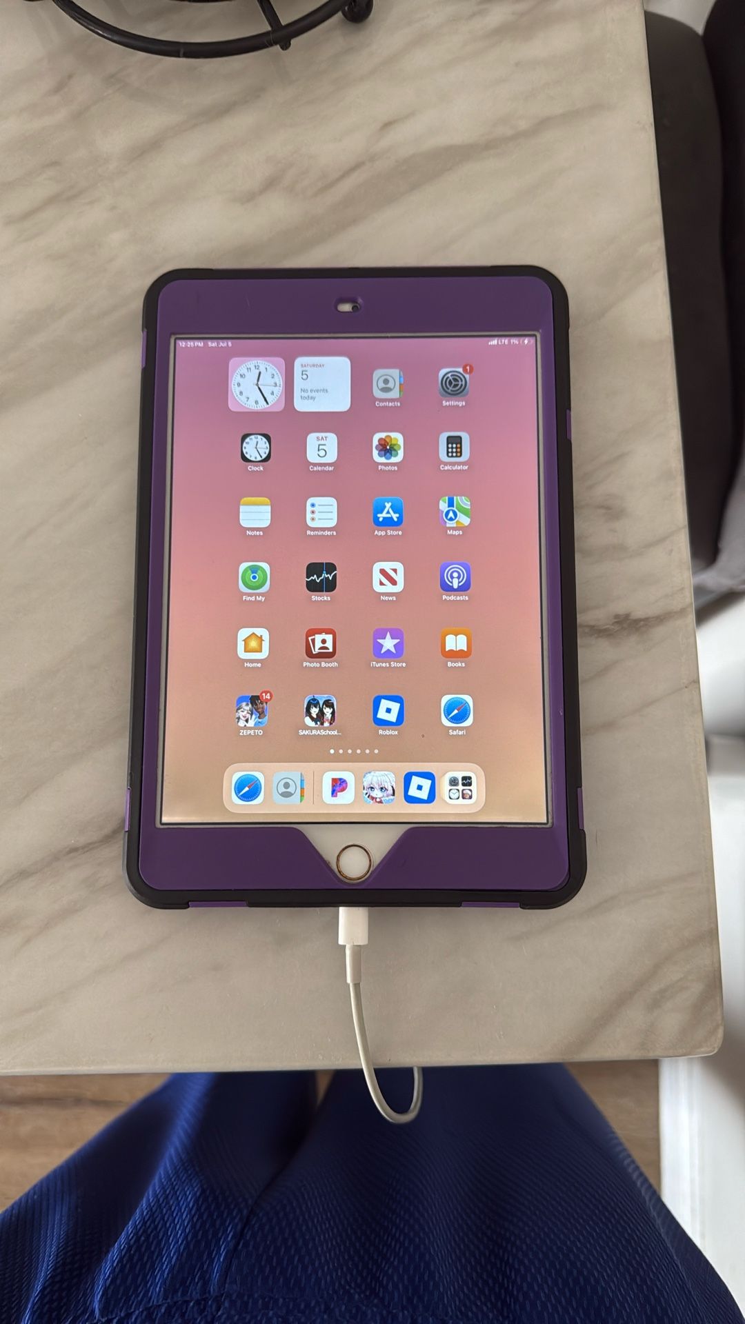 iPad Mini 5th Gen