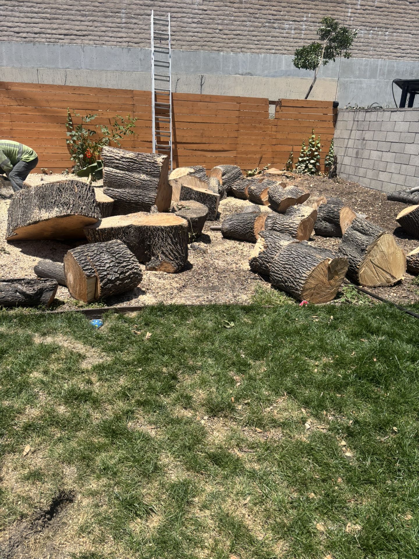 🔥 FREE FIREWOOD — COME & GET IT! 🔥  