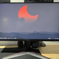LG 1080p 240hz Monitor