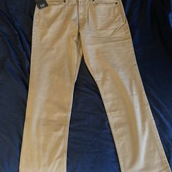 GAP Men's Chinos/Khakis BRAND NEW
