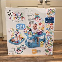 Play Gym - Baby Einstein