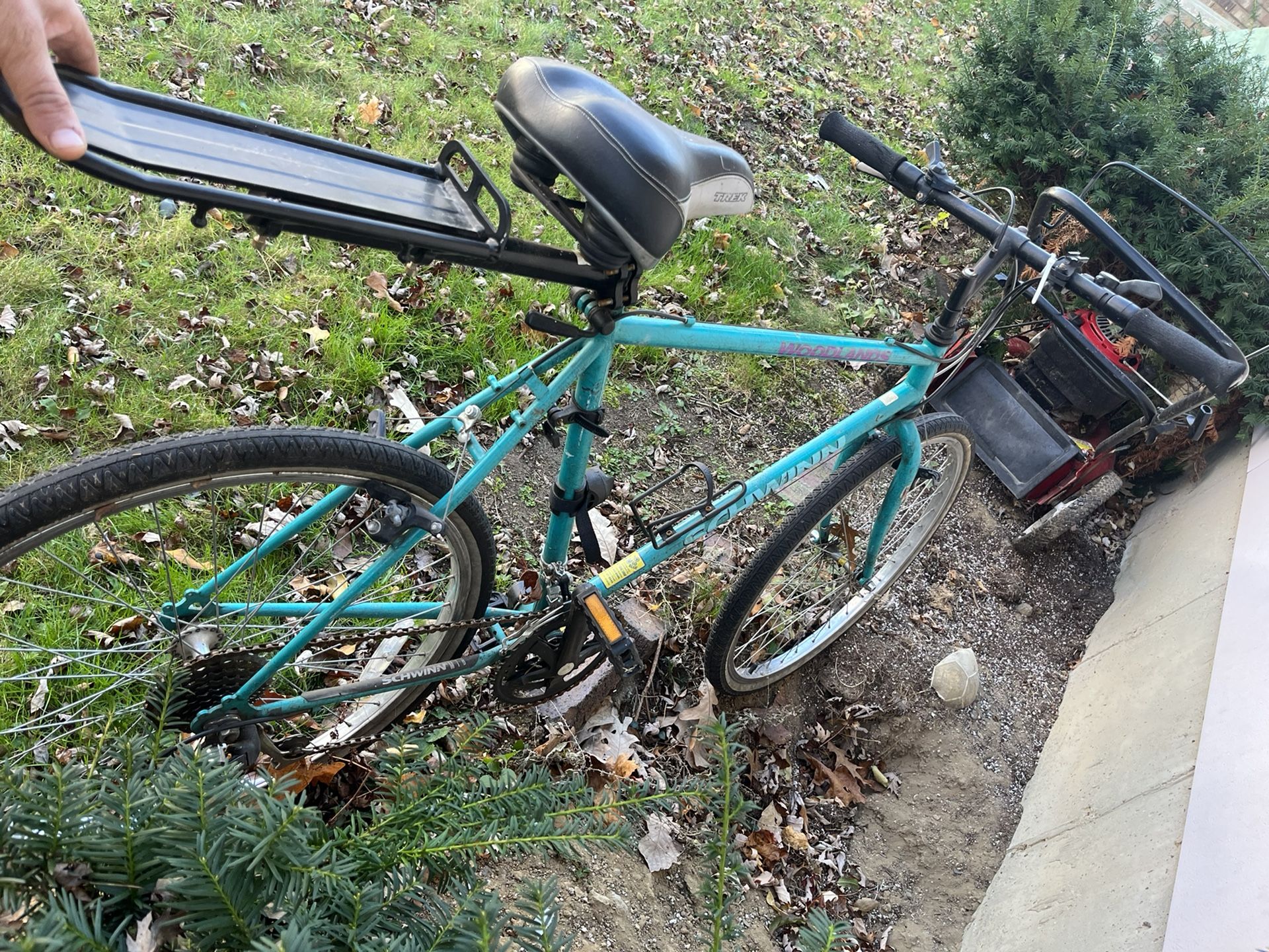 Schwinn Woodlands