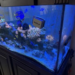 Aquarium 90g W/ 40g Sump 