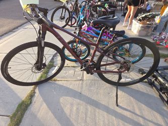 Liv bike 42"