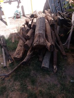 Bon Firewood 