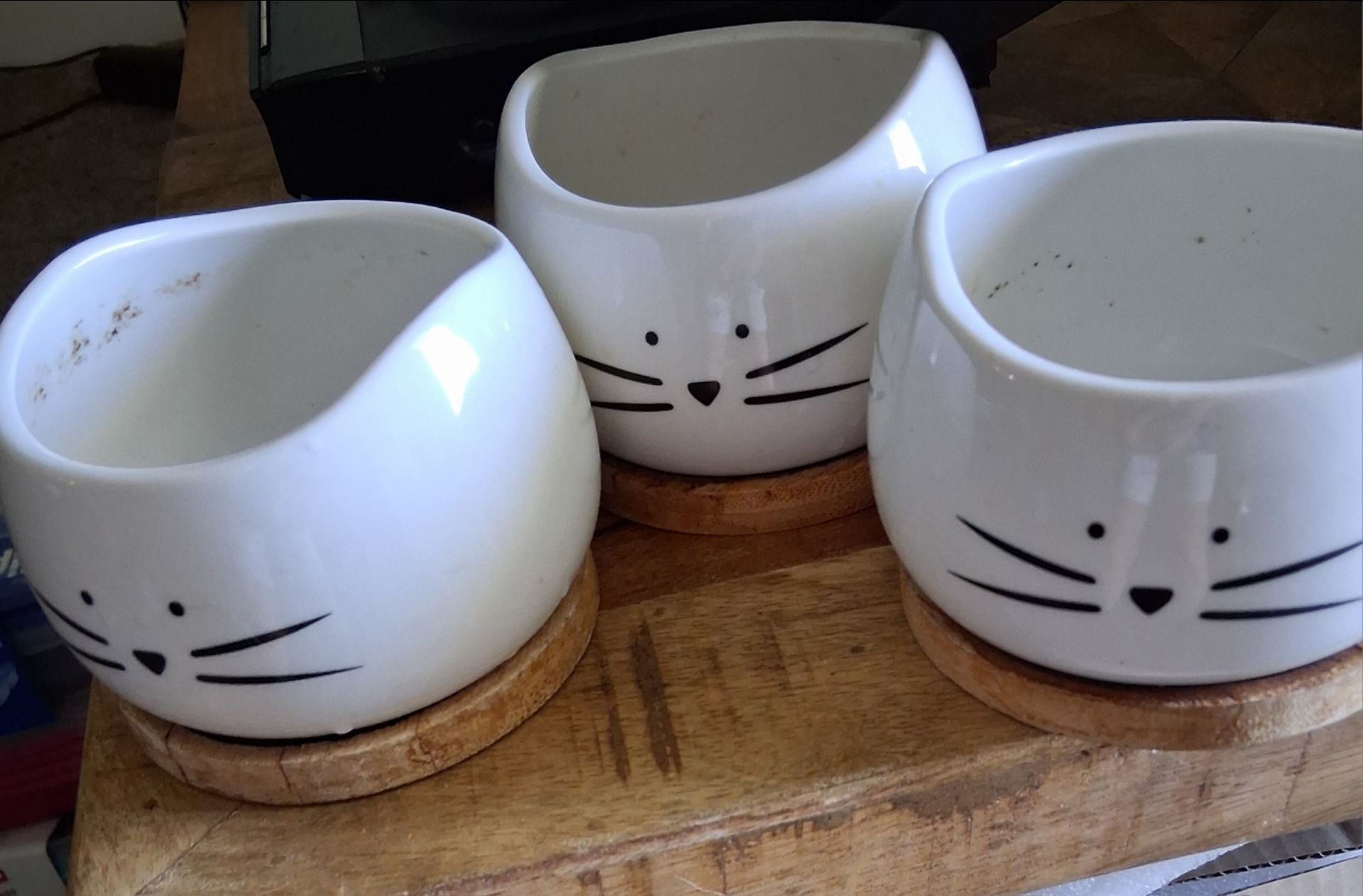 Ceramic Planters