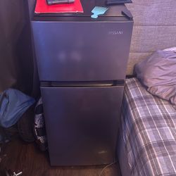 Mini Fridge With Very Cold Freezer 