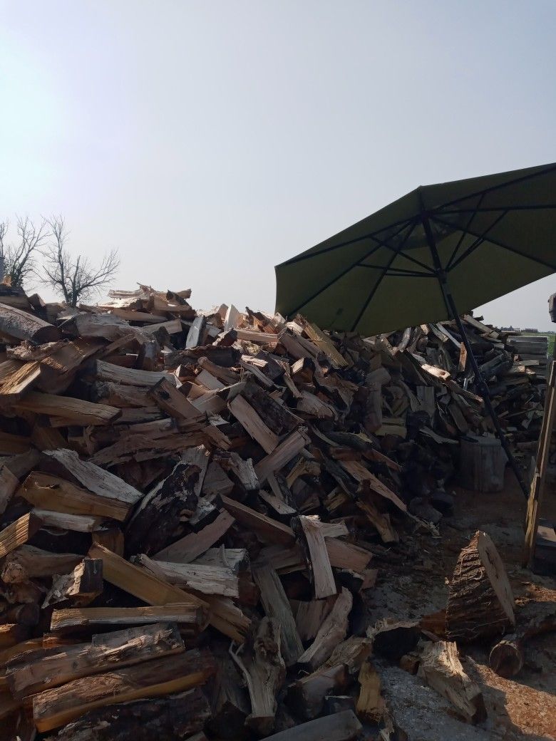 Firewood