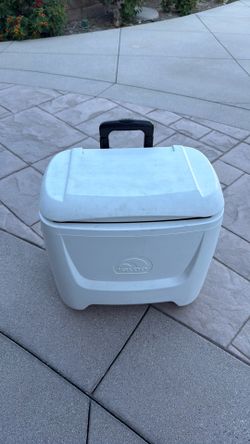 Igloo Cooler