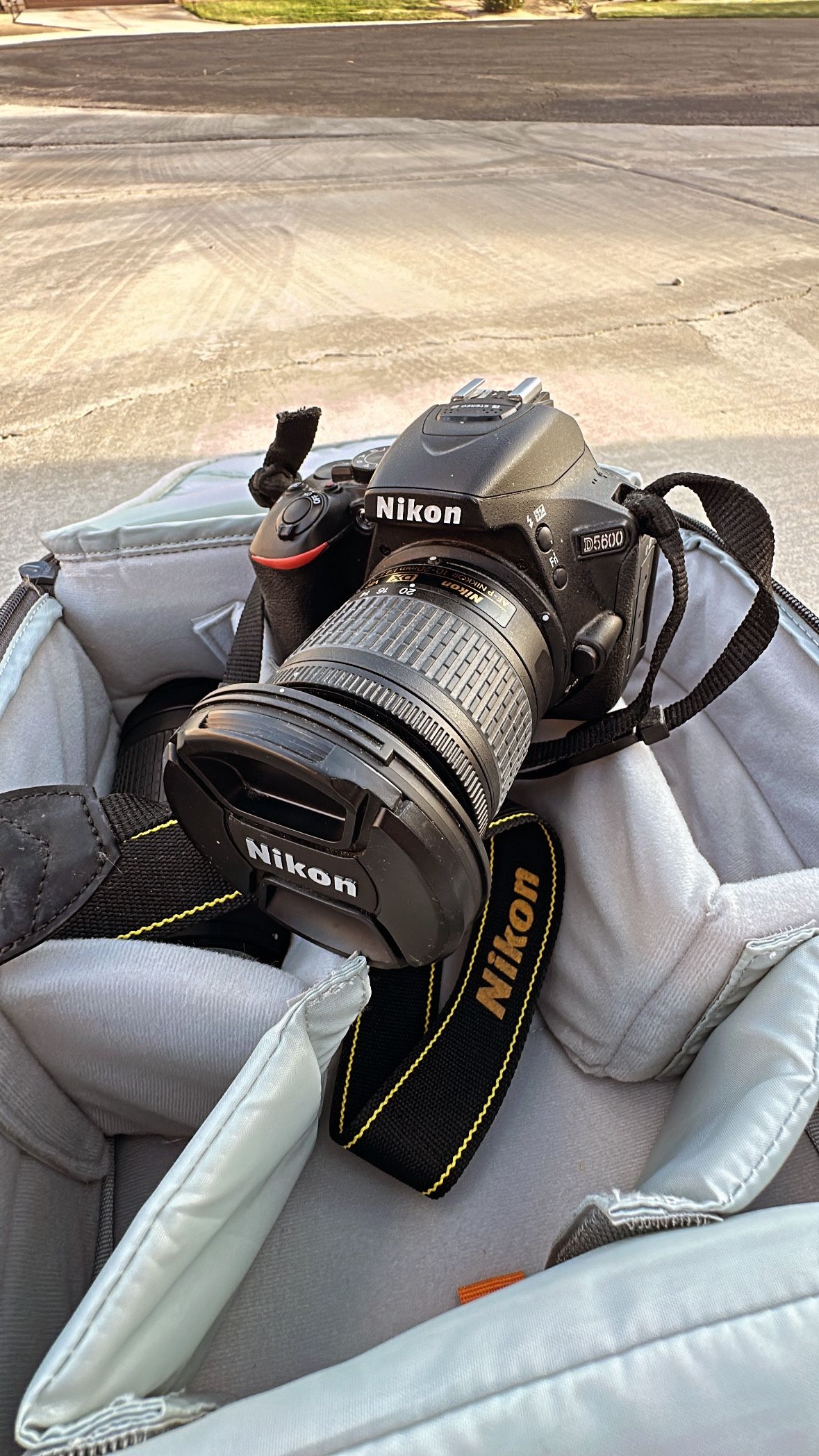 Nikon D5600 DX-Format Digital SLR w/AF-P DX NIKKOR 18-55mm f/3.5-5.6G VR