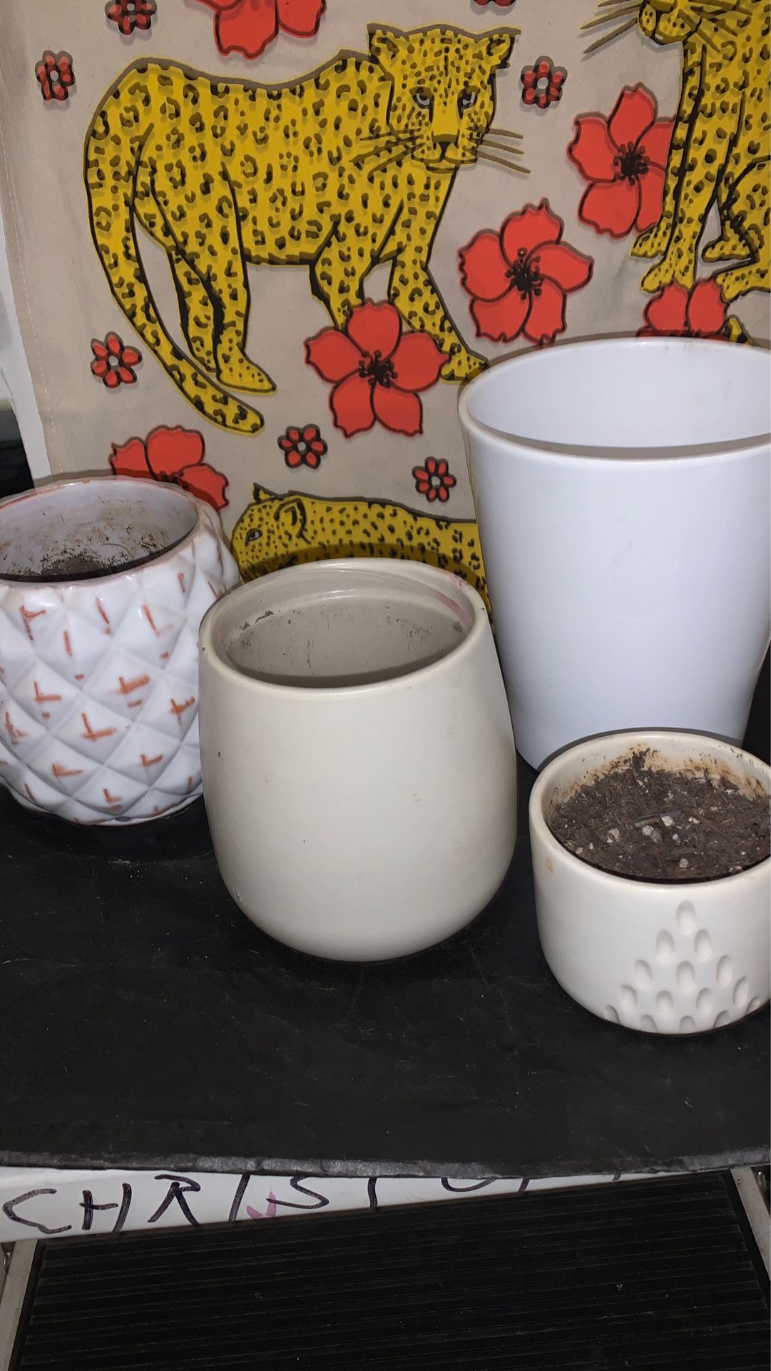 ceramic flower pots + ....free vases