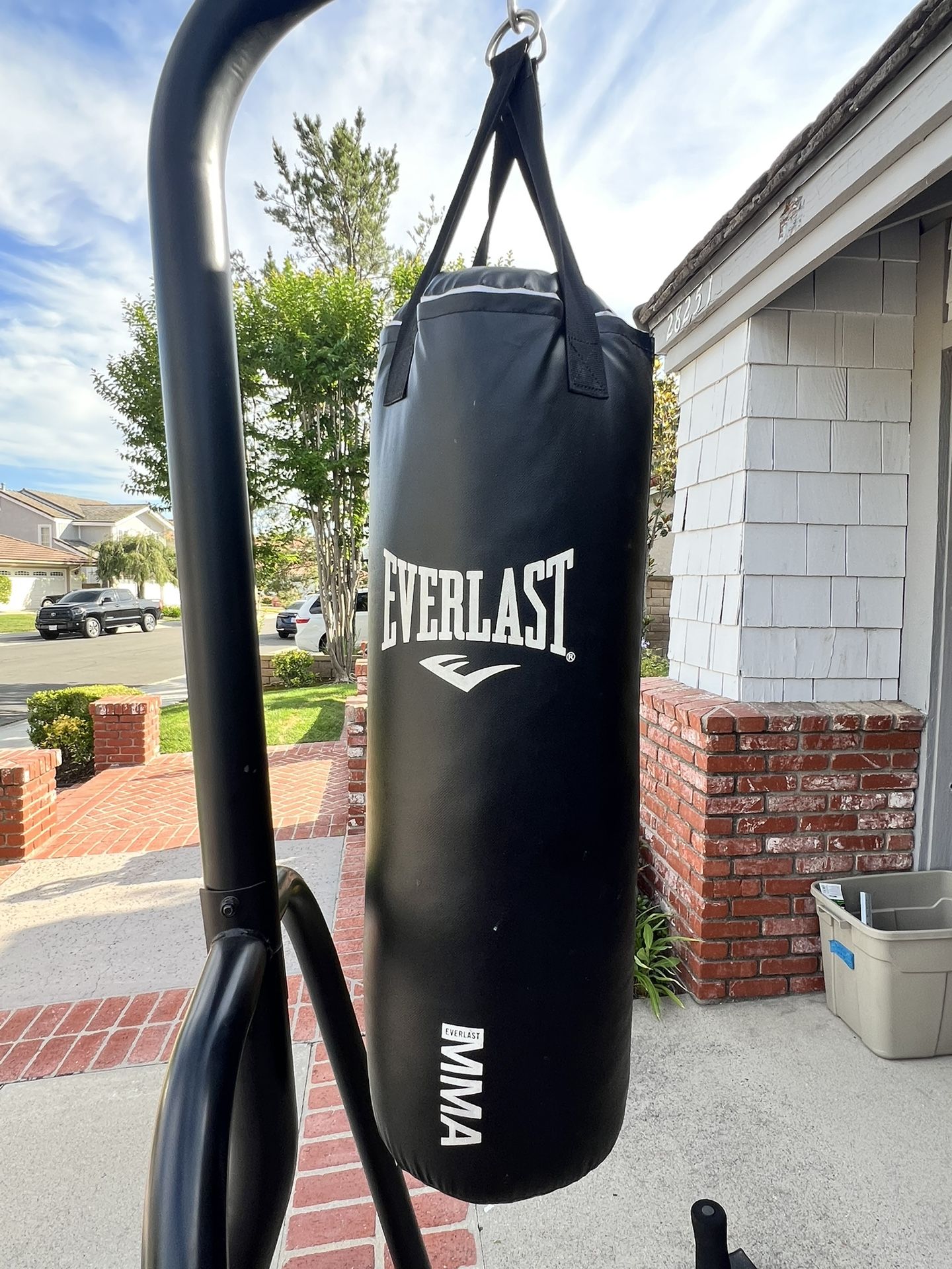 Everlast Punching Bag & Stand