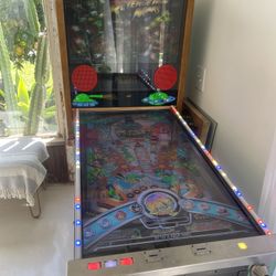 Best Toy Ever! Full Size Custom Virtual Pinball Game