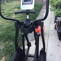 Free Eliptical
