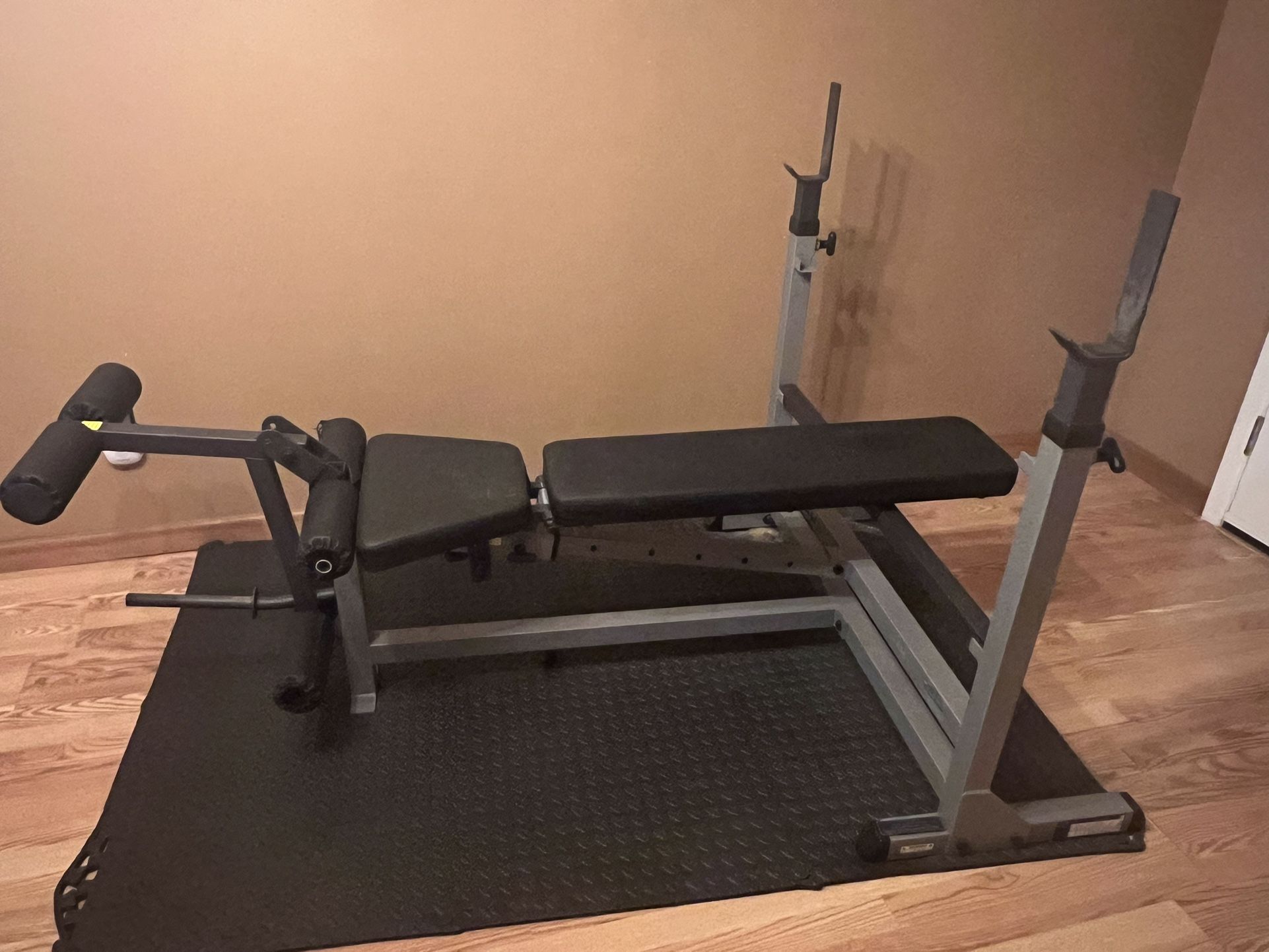 Weight Bench