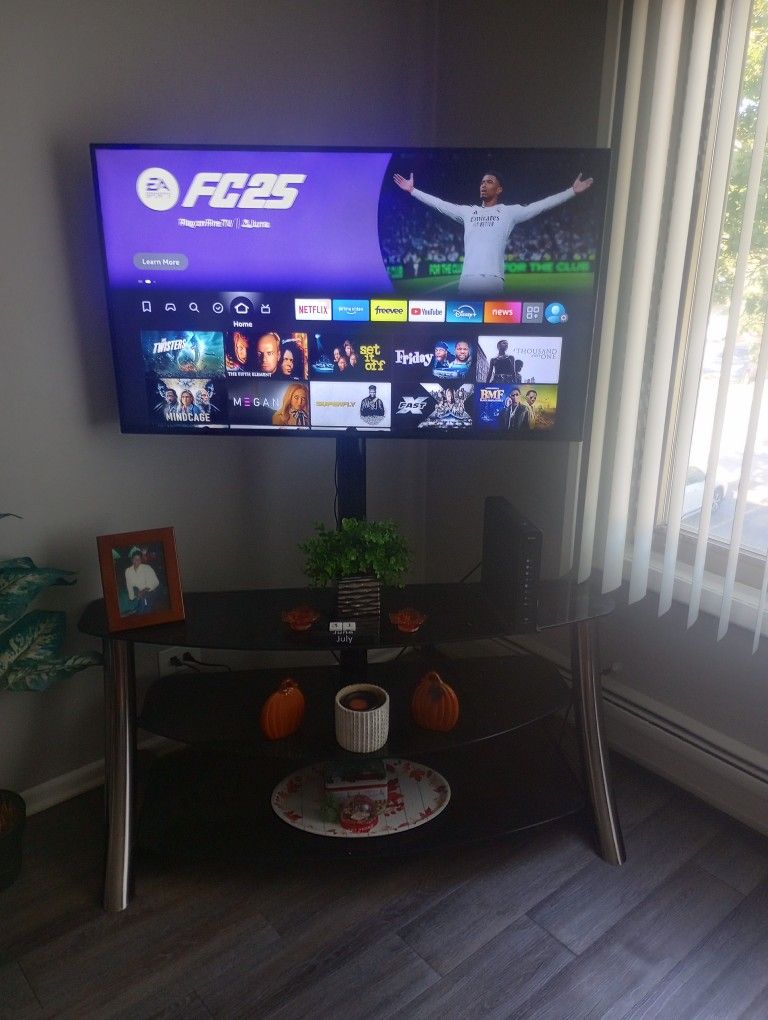 43 INCH VISIO AND STAND