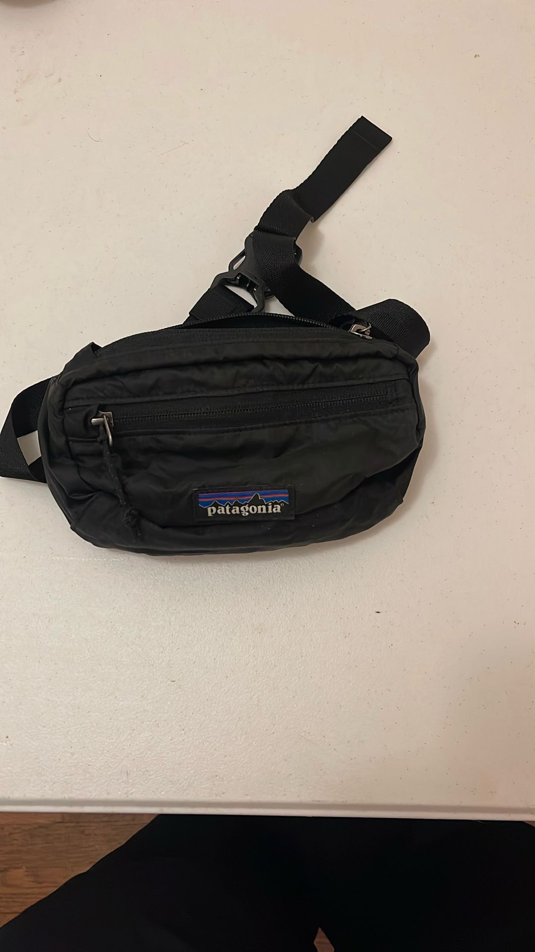 Patagonia Fanny Pack