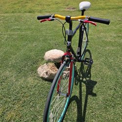 Thruster Fixed Bike 
