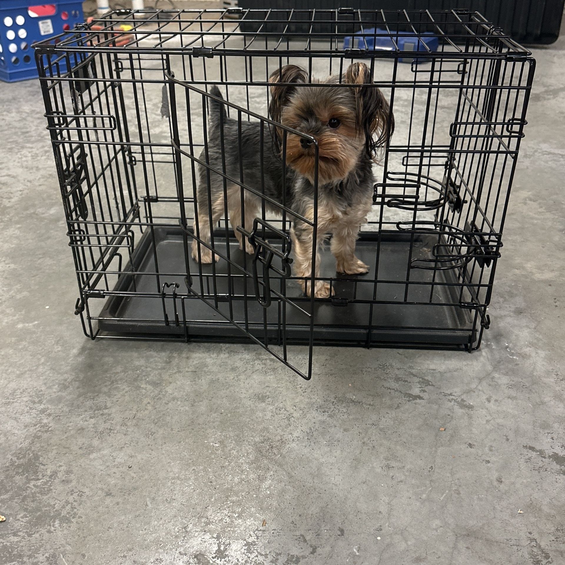 Crate For Small Animal