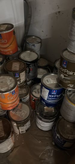 Paint