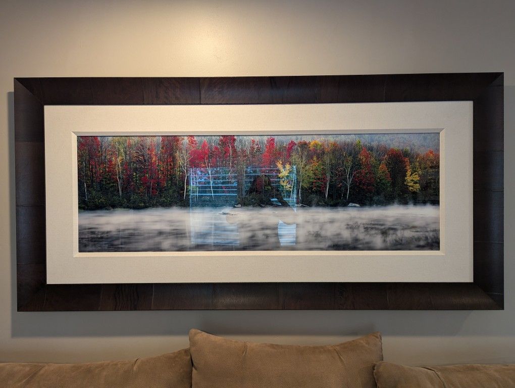 Peter Lik Birchwood photo custom frame. 75'' x 37''