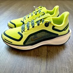 NEW Nike Pegasus 41 GTX FQ1357-300 Women’s 8.5