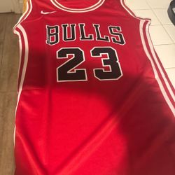 Michael Jordan Jersey  And Shai Gilgeous-Alexander 