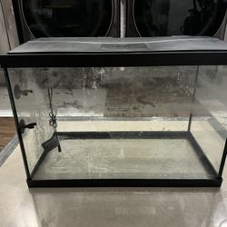 20 Gallon Fish Tank