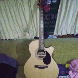 Jasmine Guitar 