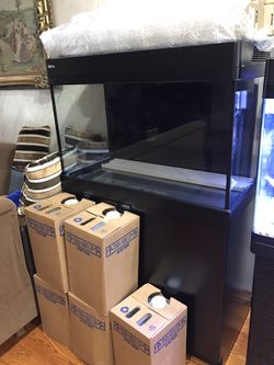 Brand New Red Sea max c250