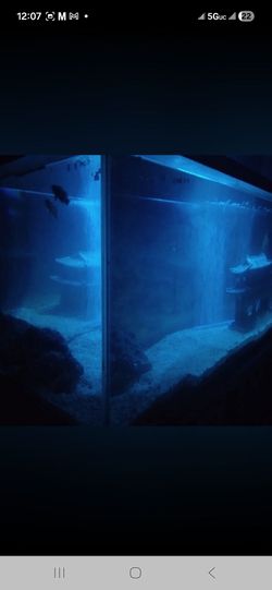Fish Aquarium/Reptile