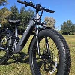 Fat Tires Mountain Electric Bike Full Suspension
