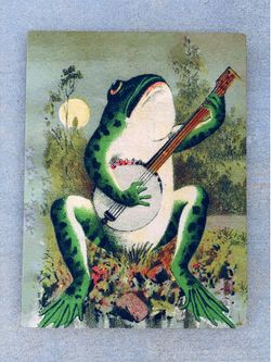 Frog Toad Playing Banjo Guitar