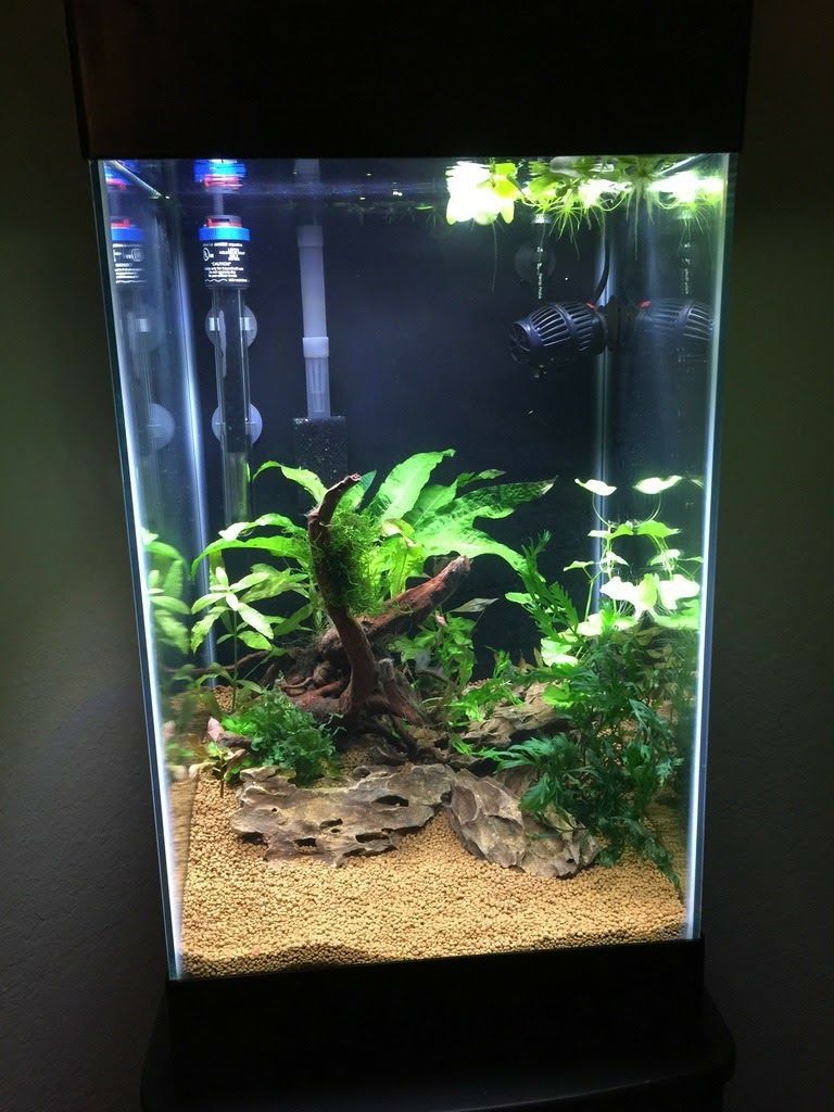 Aqueon 15 Gallon Column Deluxe Aquarium Kit